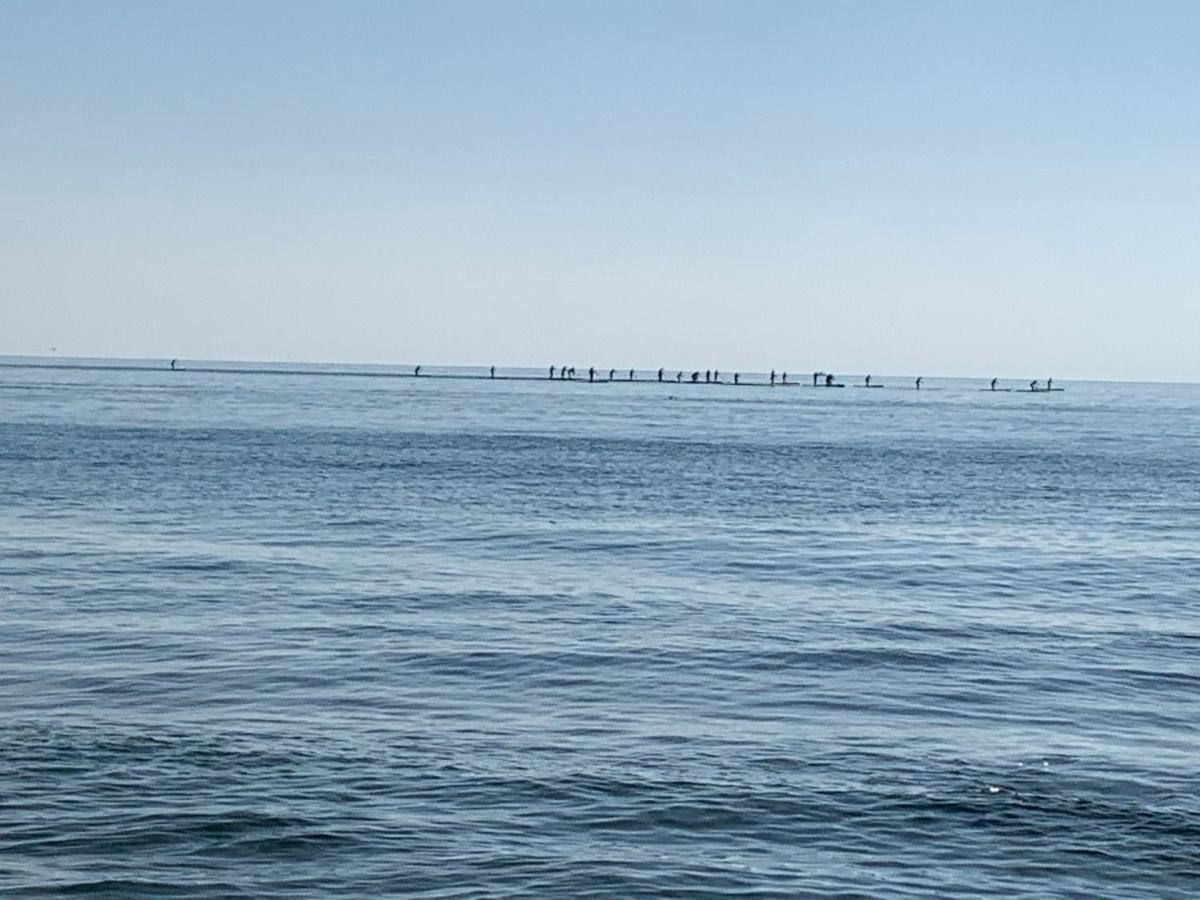 Apartamentoen La Playa, 200 Mts De La Playa Nuevo Santa Pola Eksteriør billede