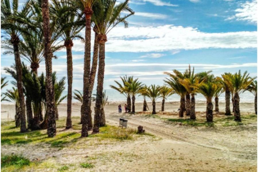 Apartamentoen La Playa, 200 Mts De La Playa Nuevo Santa Pola Eksteriør billede
